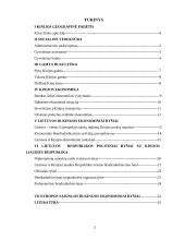 Kinijos ekonomika ir tarptautiniai ryšiai 2 puslapis