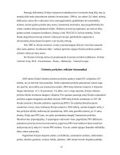 Kinijos ekonomika ir tarptautiniai ryšiai 12 puslapis