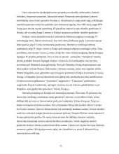 Kinijos ekonomika ir tarptautiniai ryšiai 15 puslapis