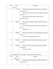 Kinijos ekonomika ir tarptautiniai ryšiai 19 puslapis