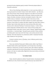 Kinijos ekonomika ir tarptautiniai ryšiai 6 puslapis