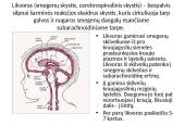 Bendrieji klinikiniai laboratoriniai tyrmai (likvoras)