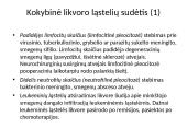 Bendrieji klinikiniai laboratoriniai tyrmai (likvoras) 20 puslapis