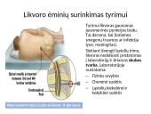 Bendrieji klinikiniai laboratoriniai tyrmai (likvoras) 4 puslapis