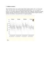 Futbolo varžybinės veiklos modelis 3 puslapis