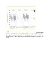 Futbolo varžybinės veiklos modelis 4 puslapis