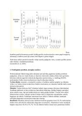 Futbolo varžybinės veiklos modelis 6 puslapis