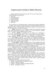 Klaipėdos miesto ekologinė tarša 13 puslapis