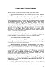 Klaipėdos miesto ekologinė tarša 17 puslapis