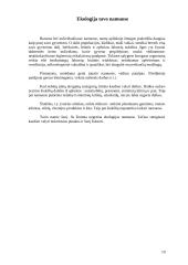 Klaipėdos miesto ekologinė tarša 19 puslapis