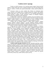 Klaipėdos miesto ekologinė tarša 5 puslapis