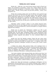Klaipėdos miesto ekologinė tarša 6 puslapis