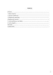 Klasė, stratifikacija, nelygybė 2 puslapis