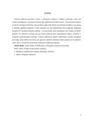 Klasė, stratifikacija, nelygybė 3 puslapis