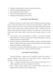 Klasė, stratifikacija, nelygybė 7 puslapis