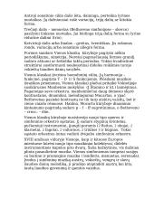 Klasicizmo epocha muzikoje 19 puslapis