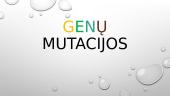 Genų mutacijos (skaidrės)