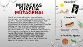 Genų mutacijos (skaidrės) 3 puslapis