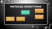 Genų mutacijos (skaidrės) 4 puslapis