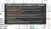 Genų mutacijos (skaidrės) 7 puslapis