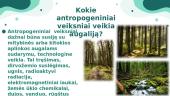 Antropogeninė veikla 3 puslapis