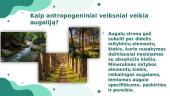Antropogeninė veikla 4 puslapis