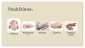 Skaidrės apie mėsą 6 puslapis