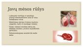 Skaidrės apie mėsą 10 puslapis