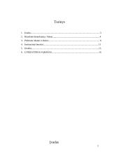 Klasikinės demokratijos teorijos 2 puslapis