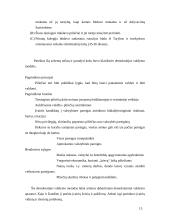 Klasikinės demokratijos teorijos 13 puslapis