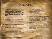 Viduramžių literatūra Lietuvoje 3 puslapis