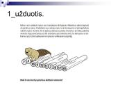 Rikiavimo algoritmai 9 puslapis