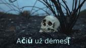 Baroko teatras. Skaidrės 8 puslapis