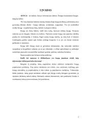 Knygos, kaip informacijos šaltinio vaidmuo žmonių gyvenime 2 puslapis