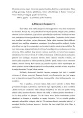 Knygos, kaip informacijos šaltinio vaidmuo žmonių gyvenime 12 puslapis