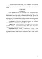 Knygos, kaip informacijos šaltinio vaidmuo žmonių gyvenime 19 puslapis