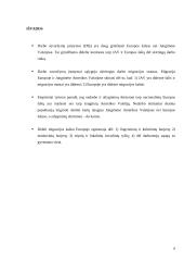 Kodėl darbo suvaržymai griežtesni Europoje nei Jungtinėse Amerikos Valstijose (JAV)? 8 puslapis