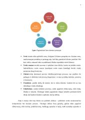 Lean vadybos sistemos taikymas UAB „Salda“ veiklos gerinimui 11 puslapis