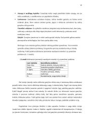 Lean vadybos sistemos taikymas UAB „Salda“ veiklos gerinimui 14 puslapis