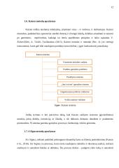 Lean vadybos sistemos taikymas UAB „Salda“ veiklos gerinimui 16 puslapis