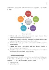 Lean vadybos sistemos taikymas UAB „Salda“ veiklos gerinimui 17 puslapis