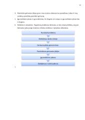 Lean vadybos sistemos taikymas UAB „Salda“ veiklos gerinimui 19 puslapis