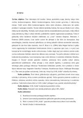 Lean vadybos sistemos taikymas UAB „Salda“ veiklos gerinimui 5 puslapis