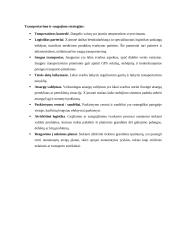Tiekimo grandinės valdymo individualus darbas 16 puslapis