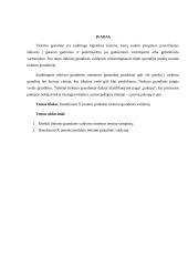 Tiekimo grandinės valdymo individualus darbas 3 puslapis
