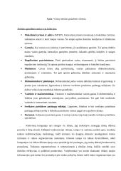 Tiekimo grandinės valdymo individualus darbas 7 puslapis