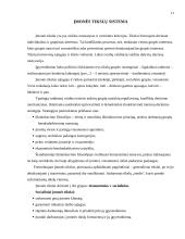 Visuotinė kokybės vadybos kontrolė 11 puslapis