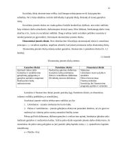 Visuotinė kokybės vadybos kontrolė 12 puslapis