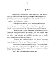 Komandinis darbas organizacijoje 2 puslapis