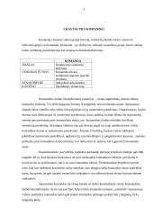 Komandinis darbas organizacijoje 3 puslapis